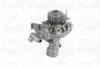 Помпа води Citroen C4/C5/C8/Jumpy/Fiat Scudo/Peugeot 206/307/406/407 2.0 16V 99- (20z)(R/B)(з корп.) PA1045