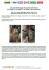 Помпа води Audi/Seat/Skoda/VW Crafter/Caddy/T6/Passat/Golf 1.6/2.0TDI 13- (R/B 4PT)(7 лоп)(з датч) GRAF PA1360A-8 (фото 2)