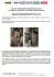 Помпа води Audi/Seat/Skoda/VW Crafter/Caddy/T6/Passat/Golf 1.6/2.0TDI 13- (R/B 4PT)(7 лоп)(з датч) GRAF PA1360A-8 (фото 2)