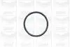 Помпа води BMW 3/5/7 318tds/325td/tds/525td/tds/725tds 91-04/Opel Omega B 2.5D/TD 94- (R/B) (7 лоп.) GRAF PA502A (фото 2)