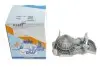 Помпа води Renault Kangoo/Megane/Clio 1.4/1.4i/1.4e 96- (20z) (B/B) (8 лоп.) GRAF PA633 (фото 5)