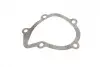 Помпа води Citroen Xantia/Xsara/Peugeot 306/406 1.8i 16V 95-03 (20z) (B/B) (6 лоп) GRAF PA642 (фото 5)