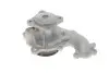 Помпа води Ford C-Max I/Focus I/II/Mondeo/Transit/Tourneo Connect 1.8DI/TDCi/TDDi 99- (R/B) (6 лоп.) GRAF PA742 (фото 4)