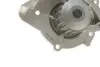 Помпа води Citroen C4-C8/Jumpy 2.0-2.2HDi/Fiat Scudo 2.0D/Ford Focus 2.0TDCI 01- (19z)(B/B)(8лоп) GRAF PA861 (фото 5)