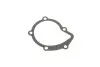 Помпа води Citroen C4-C8/Jumpy 2.0-2.2HDi/Fiat Scudo 2.0D/Ford Focus 2.0TDCI 01- (19z)(B/B)(8лоп) GRAF PA861 (фото 10)
