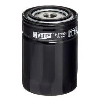 Фильтр сливочного масла. Компрессор - подсос воздуха. HENGST FILTER H17W09