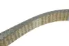 Комплект ГРМ Citroen C5 III/C6/Peugeot 407 2.7D/3.0D 04- HEPU 20-1638 (фото 4)