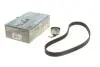 Комплект ГРМ Honda Accord V/VI 96-03 (24x112z) HEPU 20-1698 (фото 1)