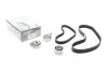 Комплект ГРМ Land Rover Freelander 2.0 DI 98-06 HEPU 20-1754 (фото 1)
