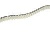 Комплект ГРМ Land Rover Discovery/Range Rover 3.0 TD 09- (20x80z) HEPU 20-2073 (фото 3)
