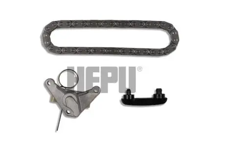 Комплект цепи ГРМ Citroen Jumpy/Peugeot Expert 2.0 HDi 00- HEPU 21-0134