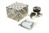Помпа води BMW 3 (E46/E90-E92)/5 (E60/E61) 2.0/2.5/3.0d HEPU P466