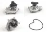 Насос водяний SUBARU HEPU P7583 (фото 1)