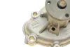 Комплект ГРМ + помпа Opel Astra H/Corsa D 1.7CDTI 06- (131x25) HEPU PK03260 (фото 11)