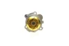 Комплект ГРМ + помпа Skoda Fabia 1.9TDI 00-08/VW 1.4TDI 99-05/Audi A2 1.4TDI 00-05 (120x30) HEPU PK05541 (фото 5)