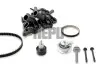 Комплект ГРМ + насос VW Caddy IV/Passat/Golf 1.4 TSi/TGI 15- (10x87z)(+ ремень помпы)) HEPU PK06870 (фото 1)