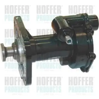 Механічний вакуумний насос HOFFER 8091091