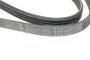 Ремінь генератора Suzuki Grand Vitara 2.5 V6/2.7 4x4 98-03 HUTCHINSON 1025 K 4 (фото 4)
