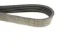 Ремінь генератора Citroen Berlingo/Fiat Ducato 1.8/1.9D /Citroen Jumper 3.0HDI 96- (6PK1160) HUTCHINSON 1160 K 6 (фото 4)