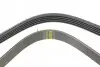 Ремінь генератора Fiat Palio 1.2 97-/Land Rover Freelander 1.8i 98-06 HUTCHINSON 1188 K 5 (фото 3)