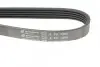 Ремень генератора Opel Astra J/Insignia A 1.4 09-15 HUTCHINSON 1205 K 5 (фото 4)