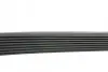 Ремінь генератора Mazda 2.0 MZR 07-10 HUTCHINSON 1230 K 8 (фото 2)