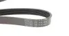 Ремень генератора Ford Focus 1.8/2.0 04-12 (6PK1249) HUTCHINSON 1249 SK 6 (фото 2)