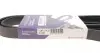 Ремень генератора Ford Focus 1.8/2.0 04-12 (6PK1249) HUTCHINSON 1249 SK 6 (фото 6)