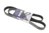 Ремінь генератора Fiat Doblo 1.3D Multijet/1.3JTD/Ford Focus 1.8/2.0 04- (6PK1310) HUTCHINSON 1310 K 6 (фото 1)