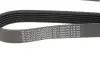 Ремінь генератора Fiat Doblo 1.3D Multijet/1.3JTD/Ford Focus 1.8/2.0 04- (6PK1310) HUTCHINSON 1310 K 6 (фото 2)