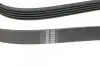 Ремень генератора Opel Corsa D 1.2/1.4 06-14 (5PK1335) HUTCHINSON 1335 K 5 (фото 3)
