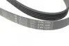 Ремень генератора Opel Corsa D 1.2/1.4 06-14 (5PK1335) HUTCHINSON 1335 K 5 (фото 4)