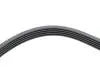 Ремень генератора Opel Astra/Corsa 1.0/1.2/1.4 00-/Suzuki Wagon R 1.0/1.2 04-05 (5PK1355) HUTCHINSON 1355 K 5 (фото 4)