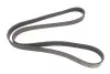 Ремень генератора Citroen Berlingo/Jumpy/Peugeot Expert/Partner 1.6HDI (6PK1355) HUTCHINSON 1355 K 6 (фото 1)