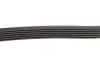Ремень генератора Citroen Berlingo/Jumpy/Peugeot Expert/Partner 1.6HDI (6PK1355) HUTCHINSON 1355 K 6 (фото 3)