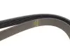 Ремінь генератора Citroen Berlingo/Fiat Scudo/Peugeot Partner 1.9D 98- (6PK1387) HUTCHINSON 1387 K 6 (фото 3)