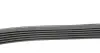 Ремень генератора Ford Focus 1.8 TDCi 05-12 HUTCHINSON 1520 K 6 (фото 2)