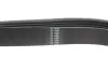 Ремень генератора Ford Focus 1.8 TDCi 05-12 HUTCHINSON 1520 K 6 (фото 3)