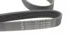 Ремень генератора Ford Focus 1.8 TDCi 05-12 HUTCHINSON 1520 K 6 (фото 4)