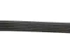 Ремень генератора VW Crafter 2.0TDI 06- (6PK1613) HUTCHINSON 1613 K 6 (фото 4)