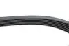 Ремень генератора VW LT 2.8TDI 96KW/Ford Transit 2.0DI 00-14 (6PK1637) HUTCHINSON 1637 K 6 (фото 4)