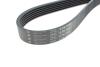 Ремень генератора VW LT 2.8TDI 96KW/Ford Transit 2.0DI 00-14 (6PK1642) HUTCHINSON 1642 K 6 (фото 2)