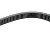 Ремінь генератора VW LT 2.8TDI 96KW/Ford Transit 2.0DI 00-14 (6PK1642) HUTCHINSON 1642 K 6 (фото 4)