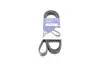 Ремінь генератора Renault Megane I/Ford Transit 2.0 94-00 (6PK1650) HUTCHINSON 1650 K 6 (фото 1)