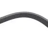 Ремінь генератора Renault Megane I/Ford Transit 2.0 94-00 (6PK1650) HUTCHINSON 1650 K 6 (фото 4)