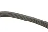 Ремень генератора Citroen Berlingo/Peugeot Partner 1.6HDI/Fiat Scudo 1.6D (6PK1710) HUTCHINSON 1710 K 6 (фото 2)