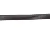 Ремень генератора Renault Kangoo 1.4/1.6i, 97- (5PK1750) HUTCHINSON 1750 K 5 (фото 3)