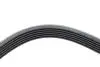 Ремінь генератора Ford Scorpio 2.0i 94-98 (6PK1755) HUTCHINSON 1755 K 6 (фото 4)