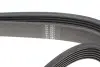 Ремінь генератора MB W202/210 M111/Ford Transit 2.301-06 (6PK1775) HUTCHINSON 1775 K 6 (фото 4)