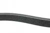 Ремень генератора Audi/BMW/Chevrolet/MB/Opel (6PK1875) HUTCHINSON 1875 K 6 (фото 2)